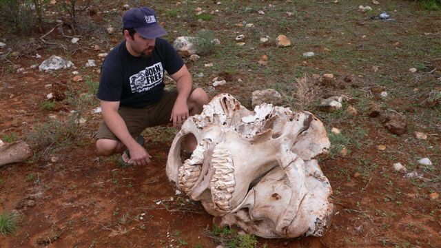 Born Free USA CEO Adam Roberts with elephant skull in Kenya