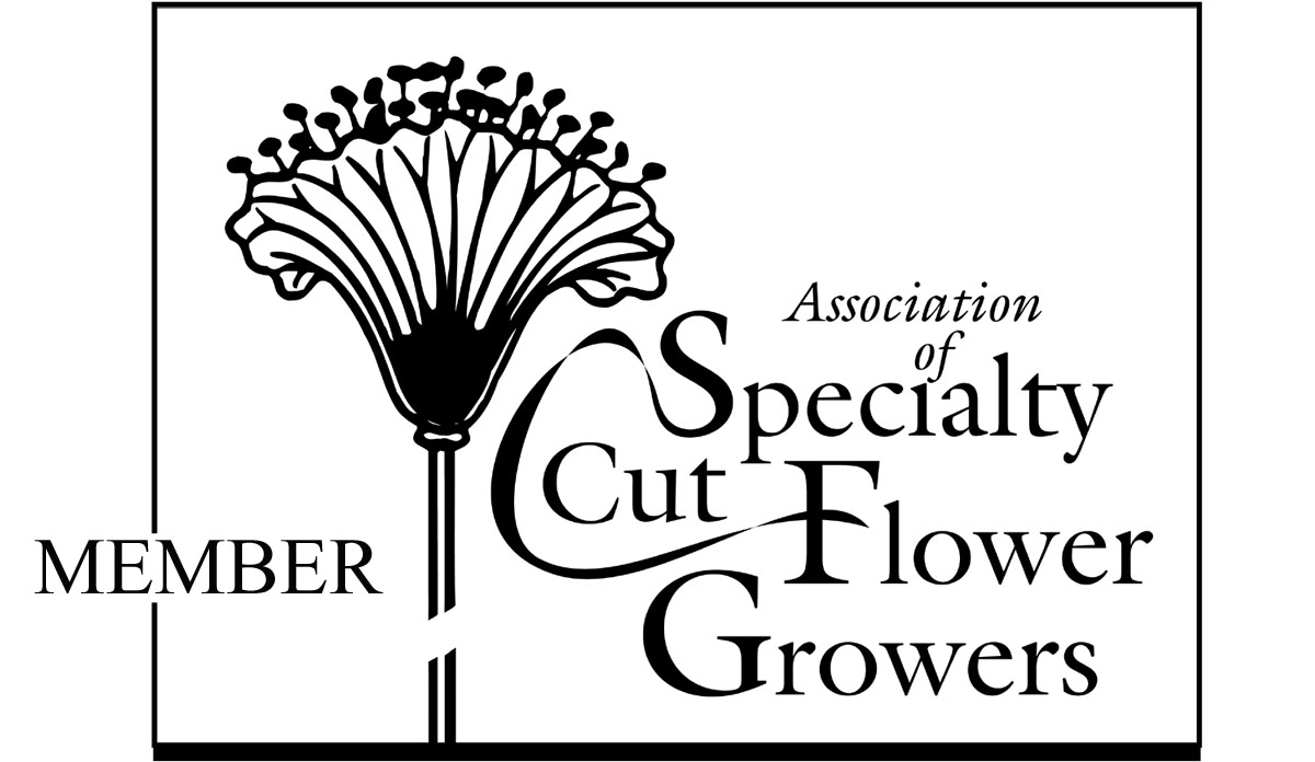 Association of Specialty Cut Flower Growers