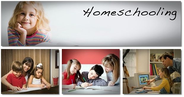 “pros And Cons Of Homeschooling” A New Article On Vkoolcom Reveals