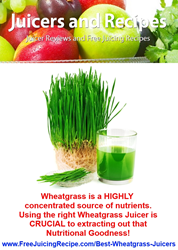 Best Wheatgrass Juicer Review