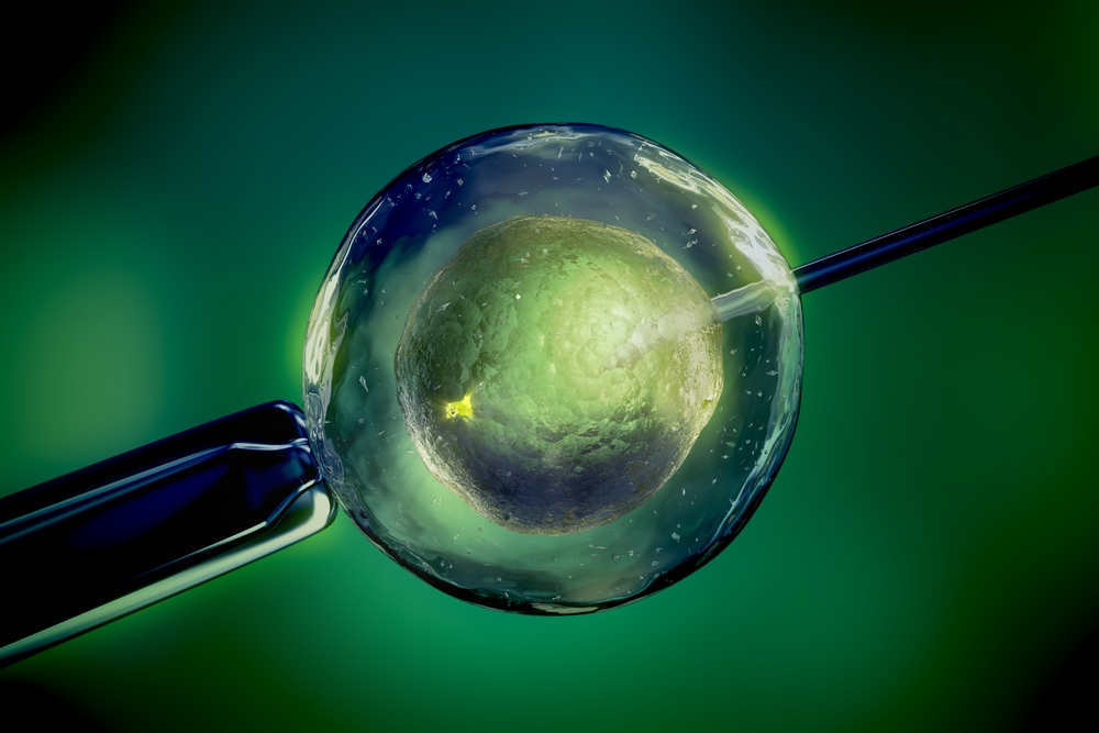 International Biosciences offers Surrogacy DNA testing