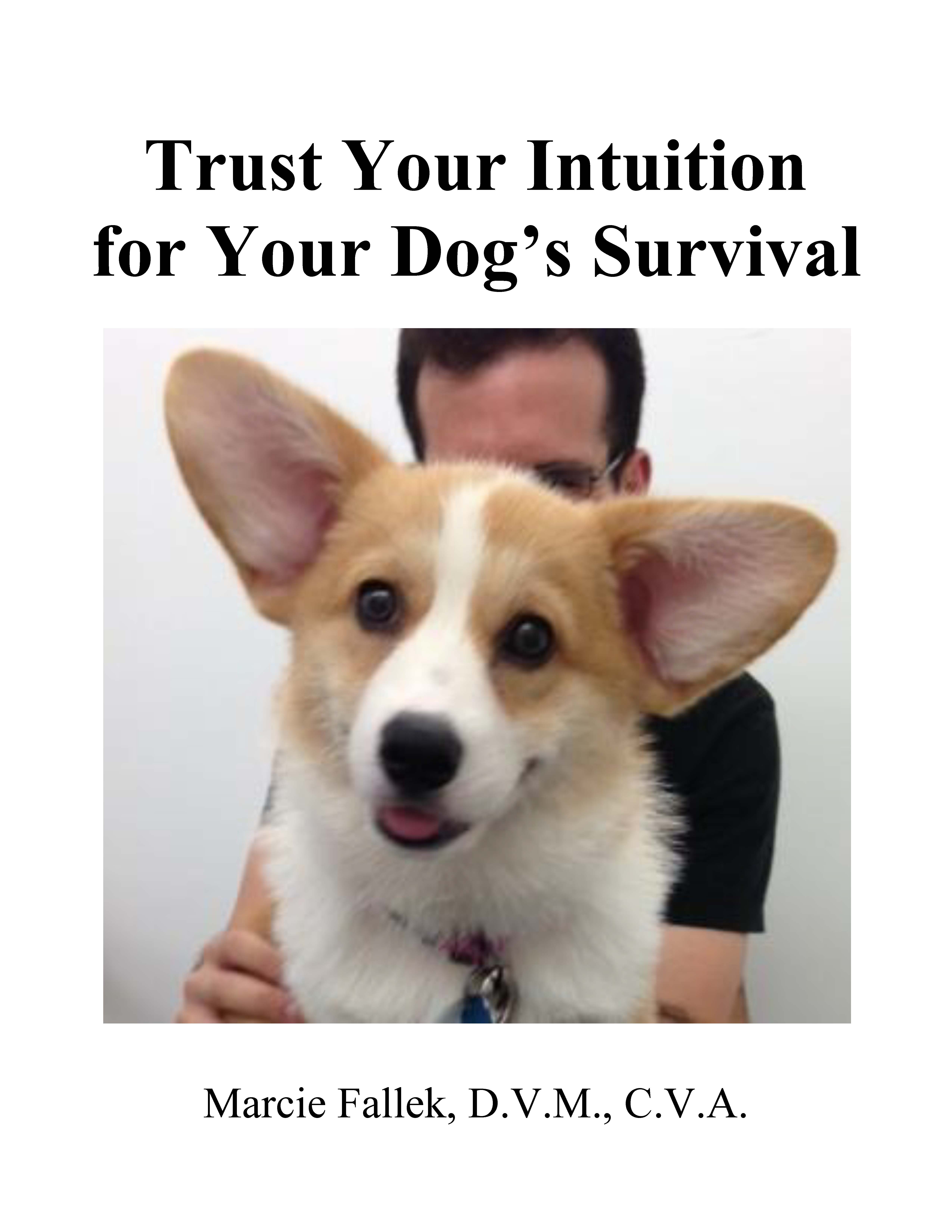 Trust Your Intution Kindle Edition Book Cover
