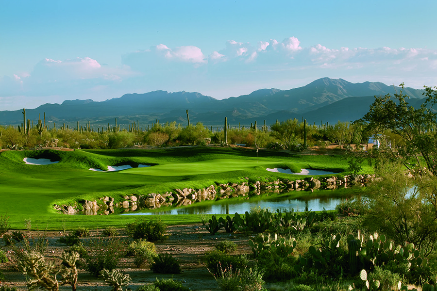 Golf Course at The Residences at The Ritz-Carlton, Dove Mountain