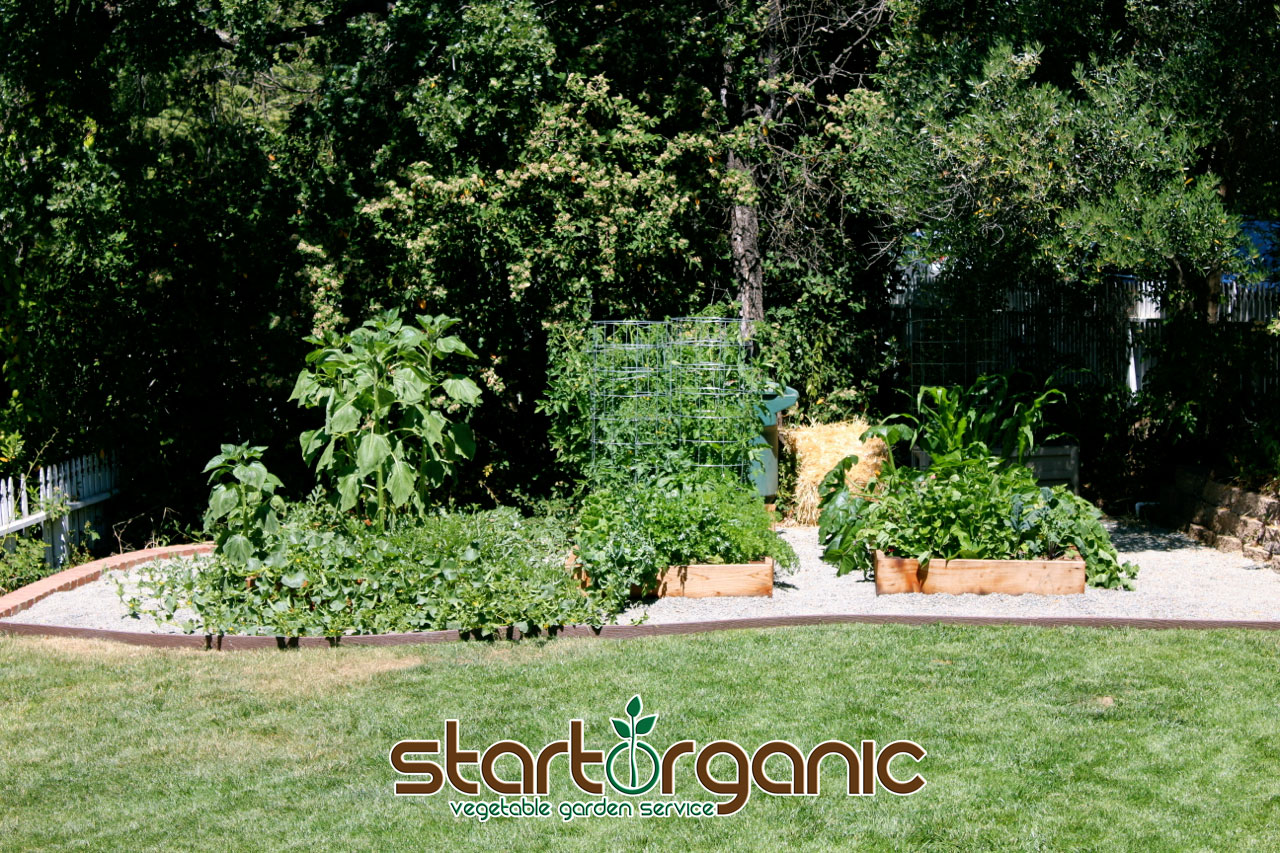 No matter the size of the homeowners property, in just a few hours each month, StartOrganic can teach the whole family how to grow healthier, sustainable, organic produce.