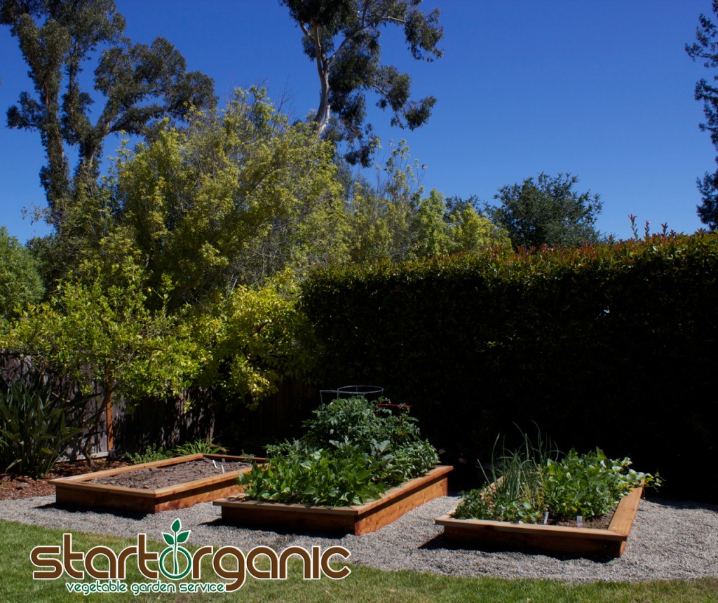 StartOrganics will create a garden that works best with the aesthetics of each home, through the installation of victory gardens, sustainabed raised bed gardens, or redwood raised bed gardens.