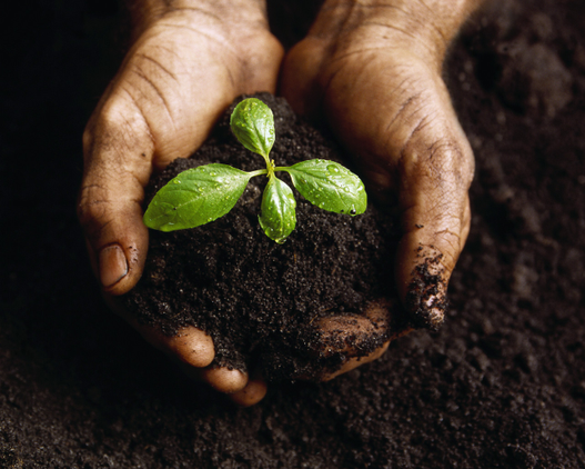 Healthy Soil from Waste