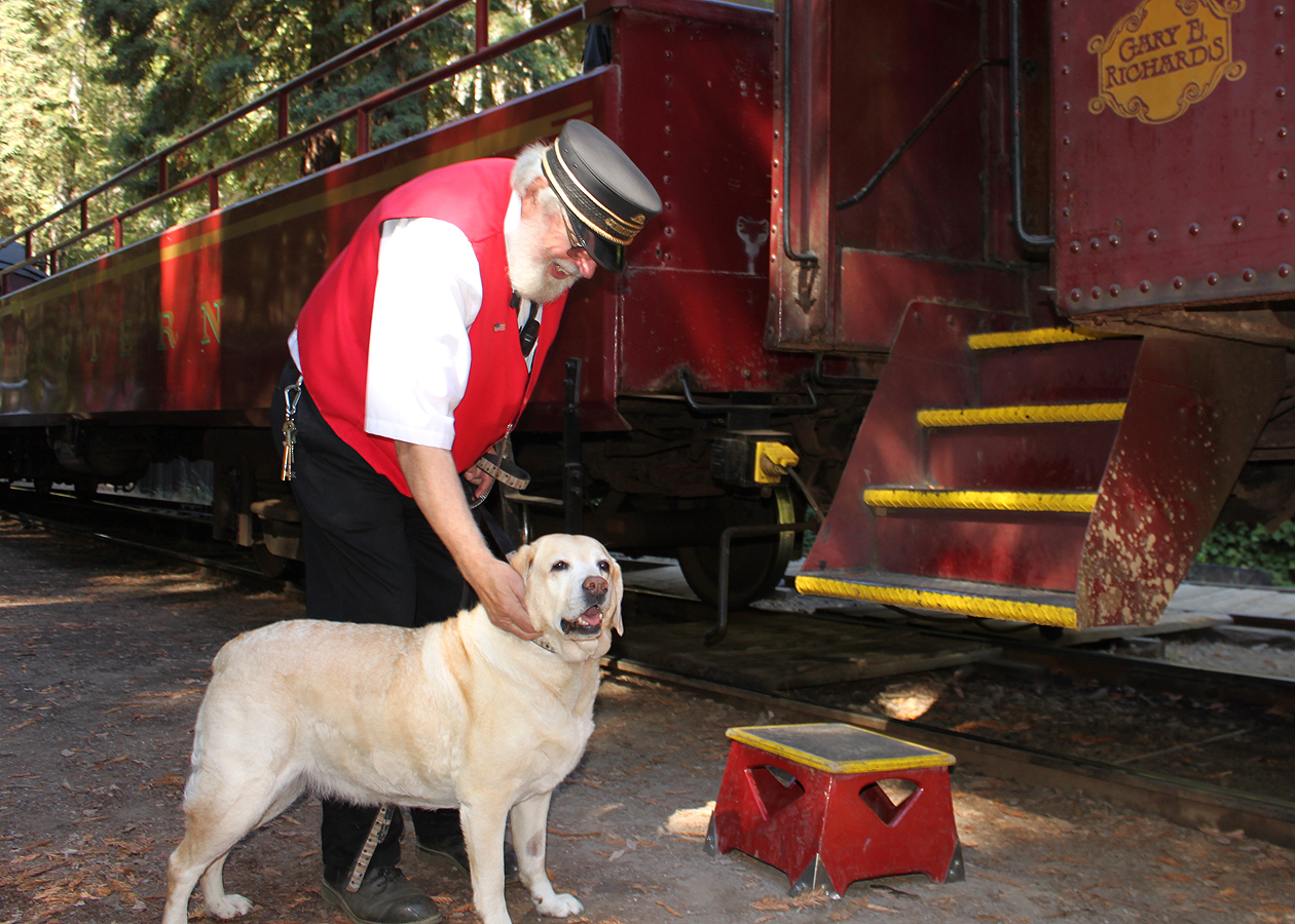 Dogtrekker's "research lab" paw tests the Skunk Train