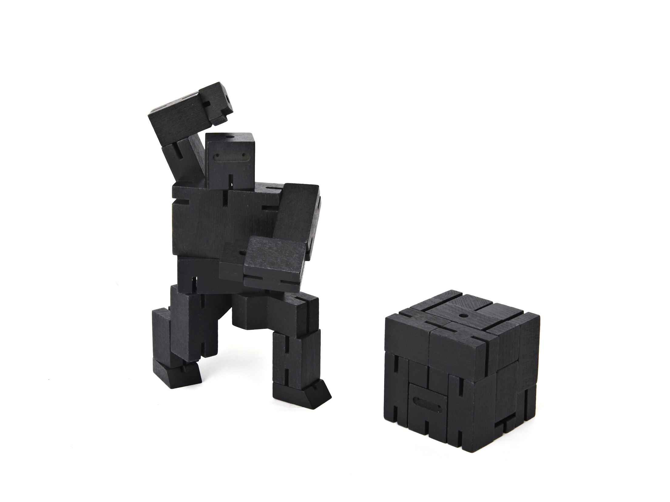 Ninjabot Cubebot - Designed by David Weeks