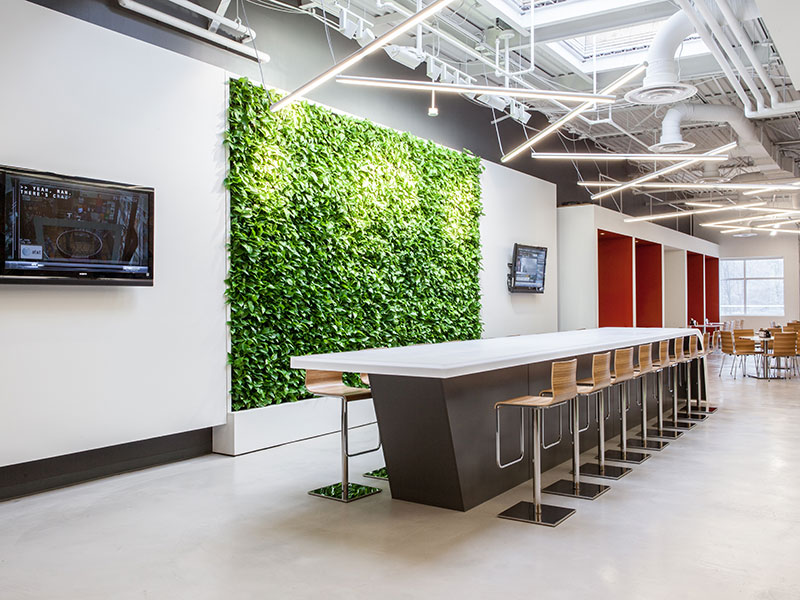 Cannondale Spruces Up New Connecticut Office with GSky Living Green Wall