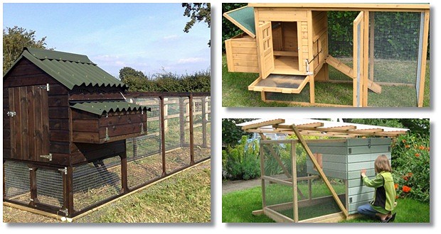 Building A Chicken Coop Review | Learn How To Build A Large Premium ...