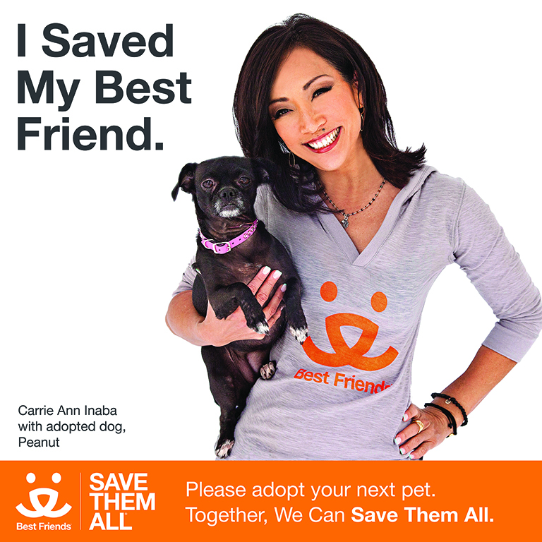 Carrie Ann Inaba Save Them All