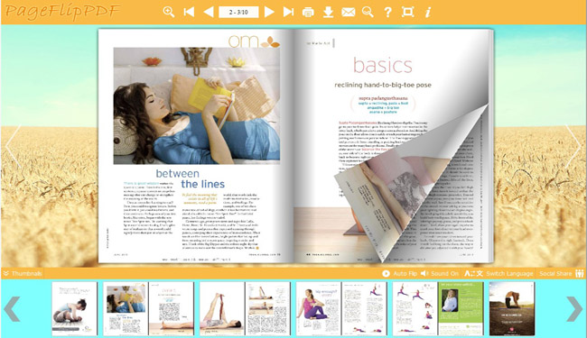 PDF to flip book online