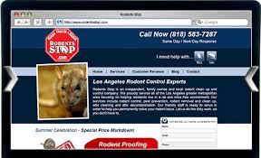 Rodents Stop Website