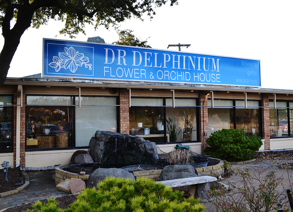 Dr Delphinium Flower & Orchid House in Richardson TX