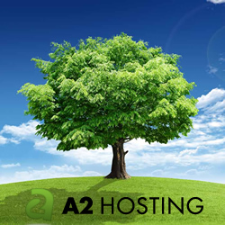 A2Hosting Review & Rating