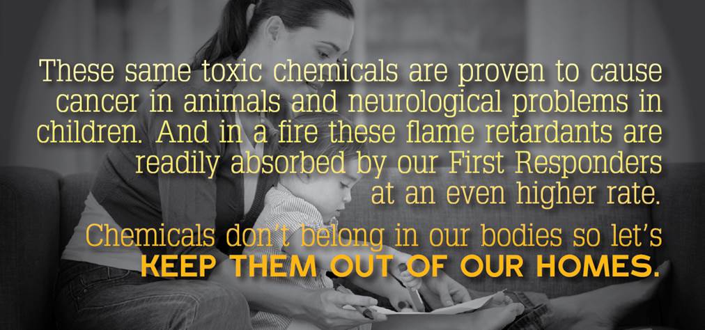 Chemicals Don't Belong in Our Bodies