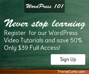 Learn WordPress in less than 60 Minutes