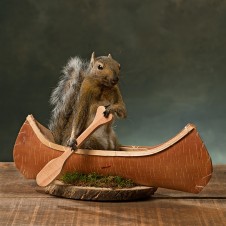 Canoeing Squirrel