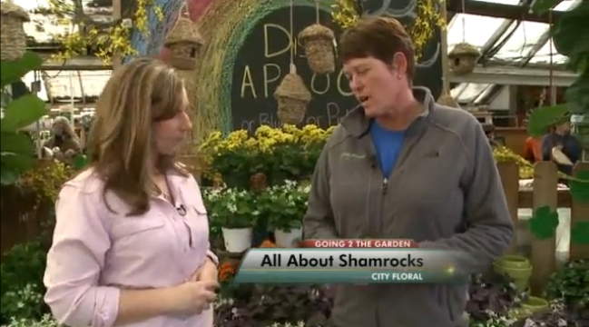 Vicky Evans, Channel 2 Daybreak Reporter, interviews Trela Phelps, a City Floral Garden Center team member, during a “Going 2 The Garden" weekly video segment.