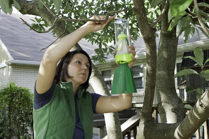Break the stink bug lifecycle with the RESCUE!® Stink Bug Trap