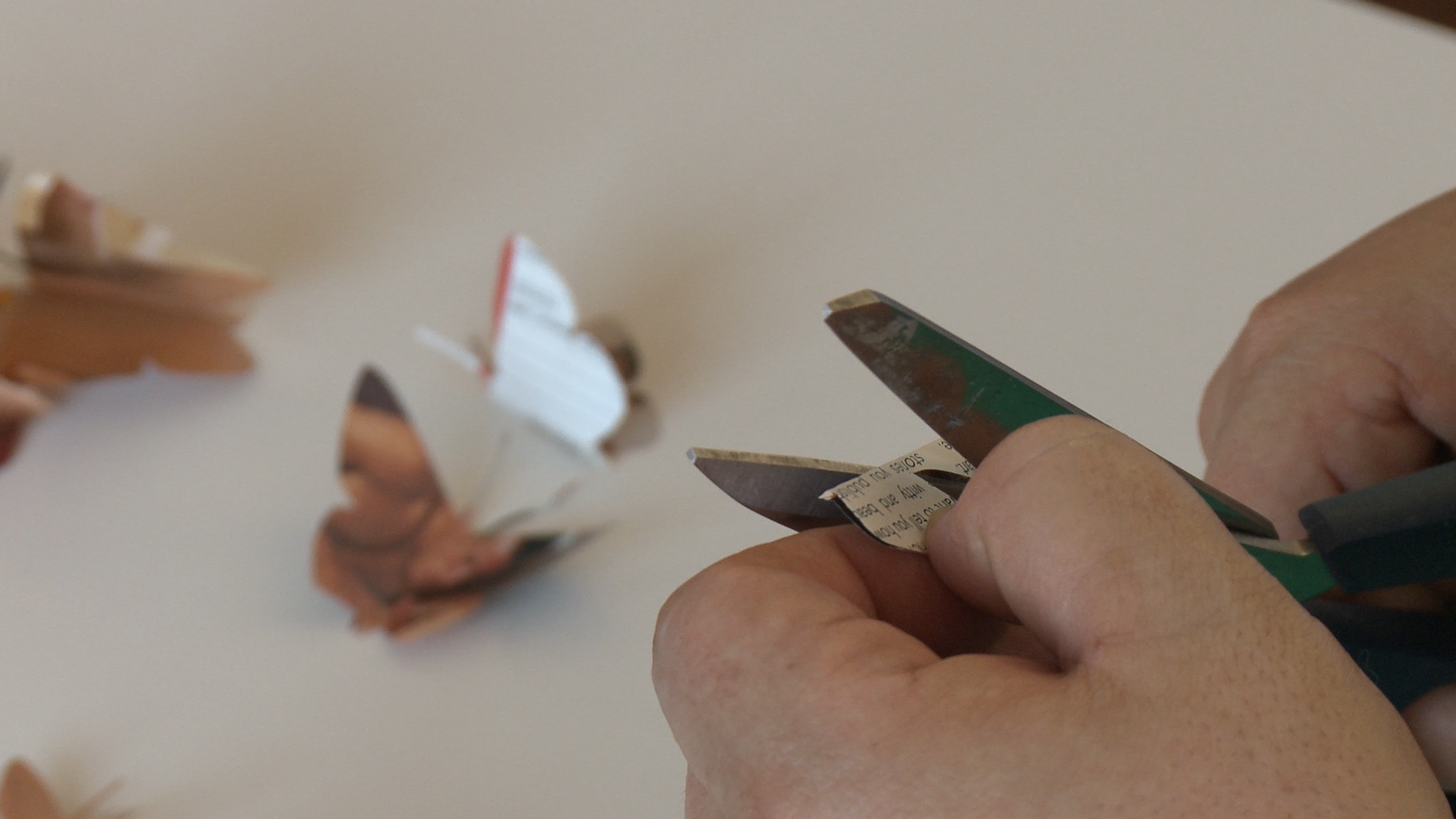 Artist Truong Tran Cutting Butterflies