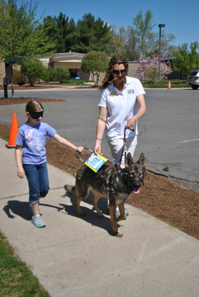 A child takes a blindfold walk with a Fidelco Guide Dog at Fidelco's Open House.