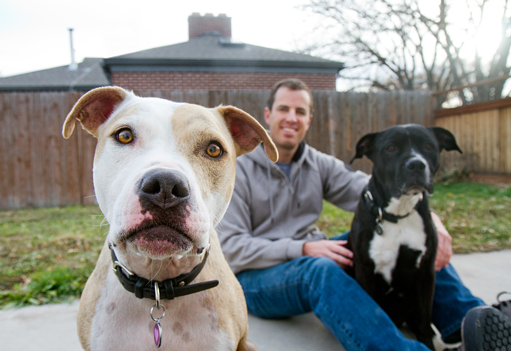 Utah is the 19th state to pass a provision banning some form of breed discrimination.