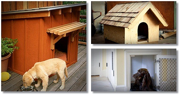 easy build dog house plans review
