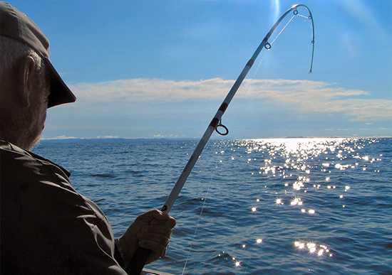 Challenging Your Fishing Skills