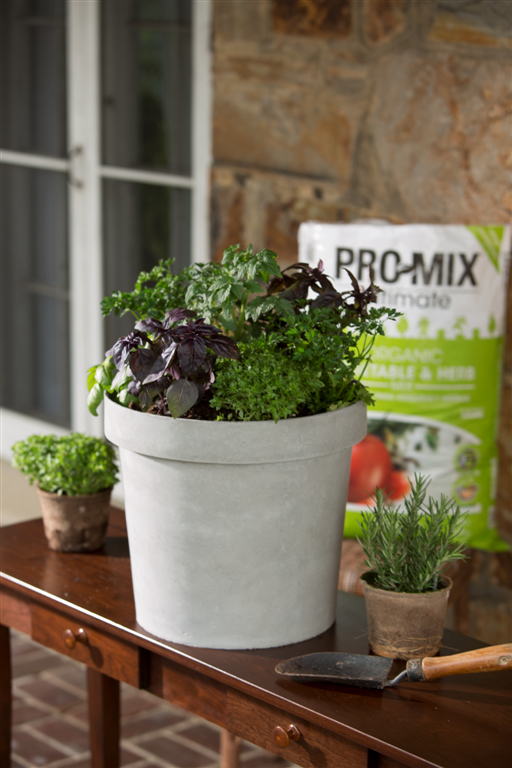 Use PRO-MIX Organic Vegetable and Herb Mix in garden beds and containers