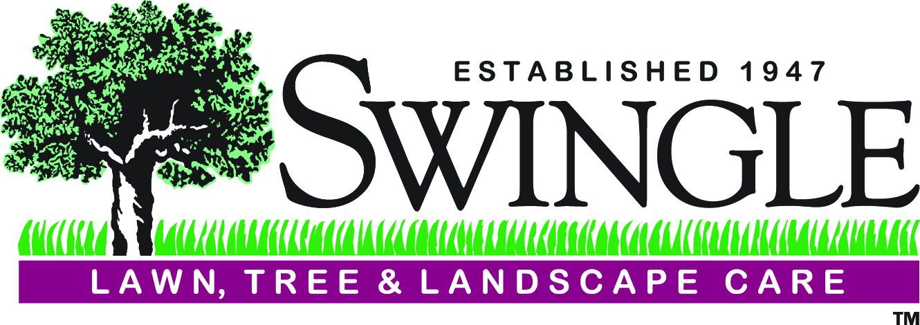 Swingle Lawn, Tree and Landscape Care; Colorado's Lawn Care and Tree Service Experts