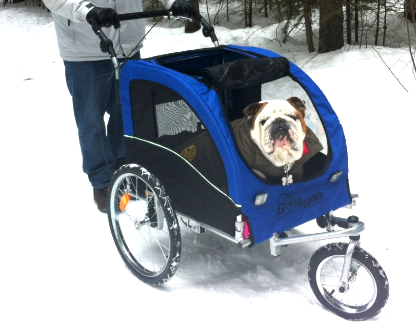 Booyah Strollers Has a 2in1 Dog Stroller Designed for