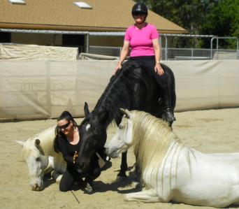 Blanco and Cynthia's Liberty Team practicing at home - Copyright Cynthia Royal