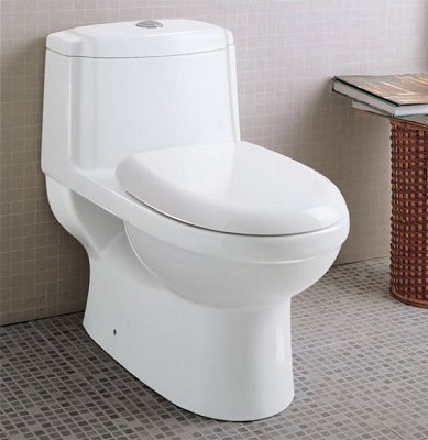 dual flush one piece eco-friendly ceramic toilet Eago TB222