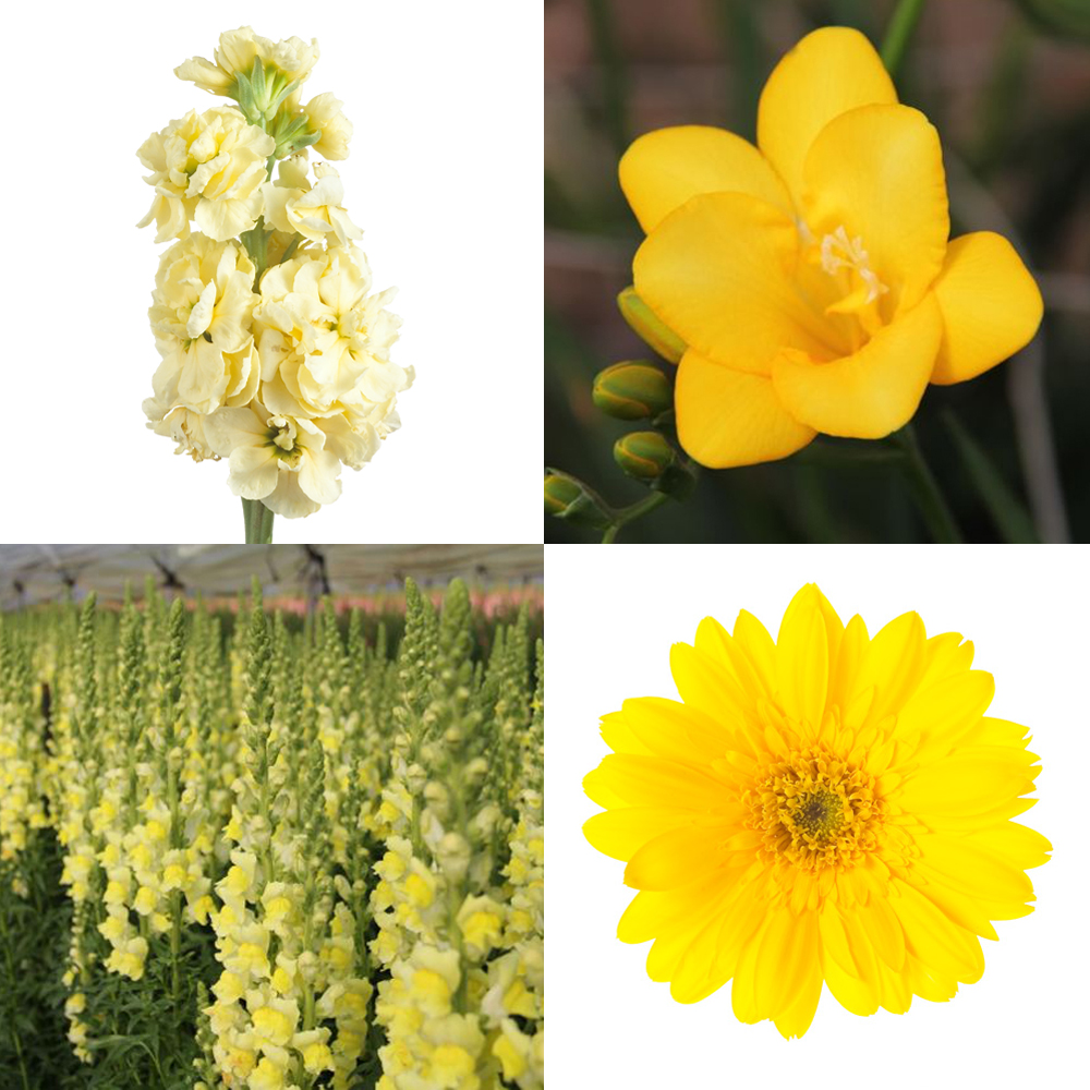 Monochromatic YELLOW Wedding Flowers