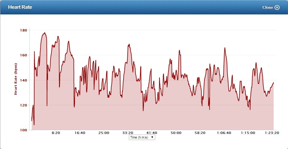 Garmin fenix 2 Delivers Detailed Heart Rate Data and Recovery Advisor