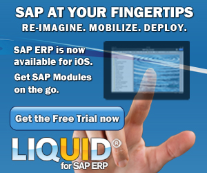 SAP At Your Fingertips