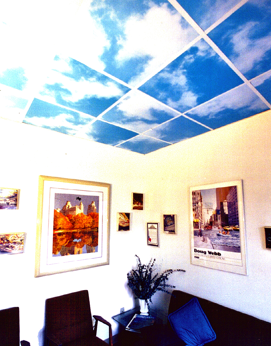 Outwater's Acrylic Ceiling Panels