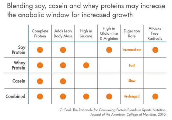 Blends of high quality proteins increase the anabolic window for protein synthesis