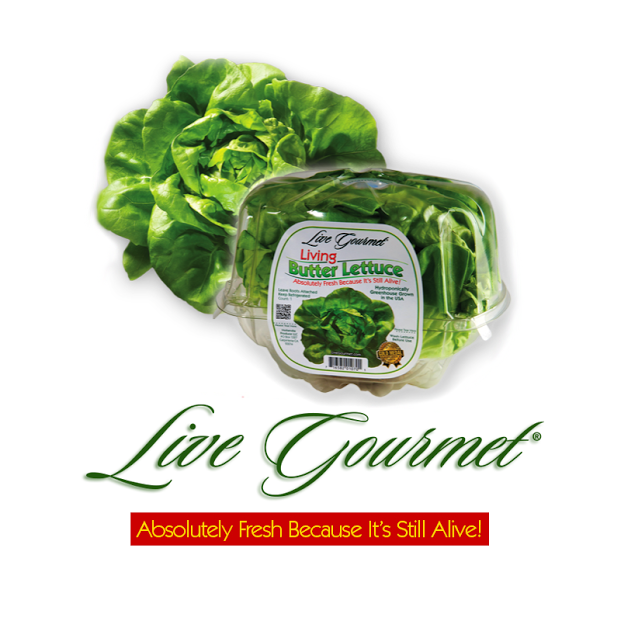 Live Gourmet® brand butter lettuce, upland cress, and 3-n-1 lettuce