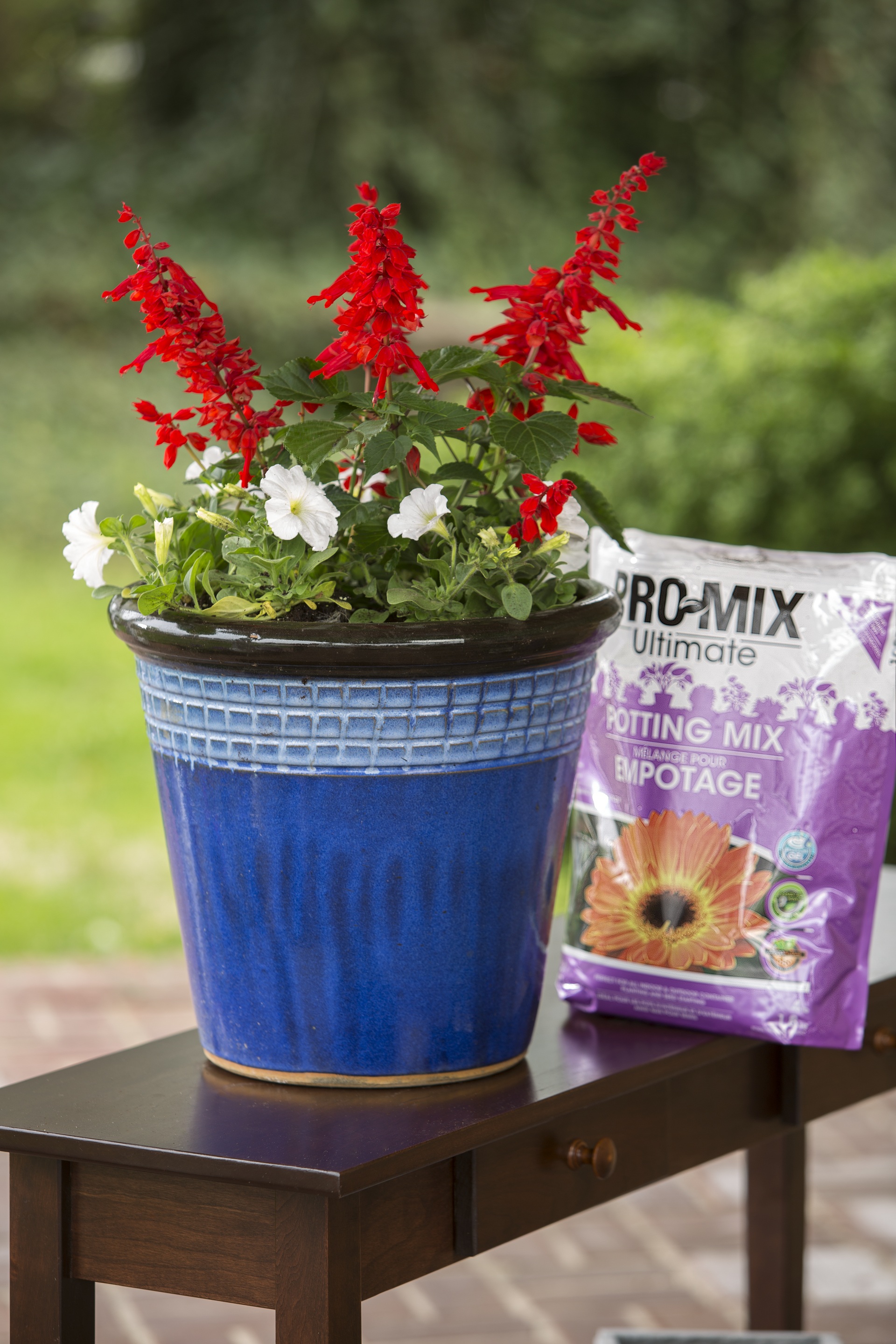 Create containers that will bloom all season long