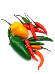 Scoville Scale Now Shows the Hottest Pepper in the World ...