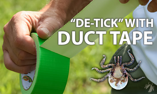 Duct tape is helpful in removing ticks from skin and clothing