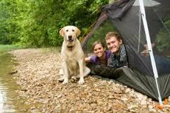 When spending time outdoors, check yourself, your family, and your pets for ticks