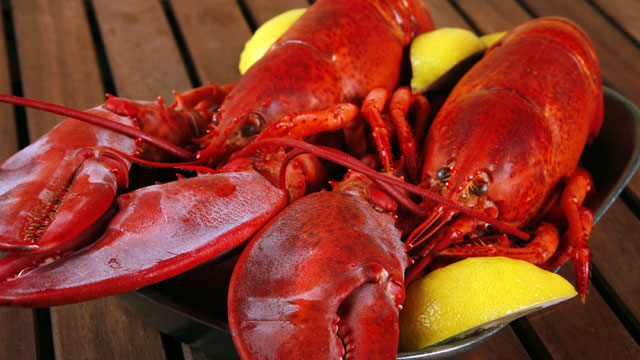 GetMaineLobster.com Announces Mother’s Day Specials to Help Celebrate ...