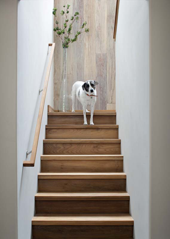 Even with heavy foot (and paw) traffic, Smooth Reclaimed Teak is a durable choice for NEWwoodworks crafted stairs.