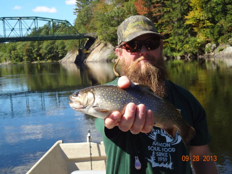 A prize trout from the Androscoggin River