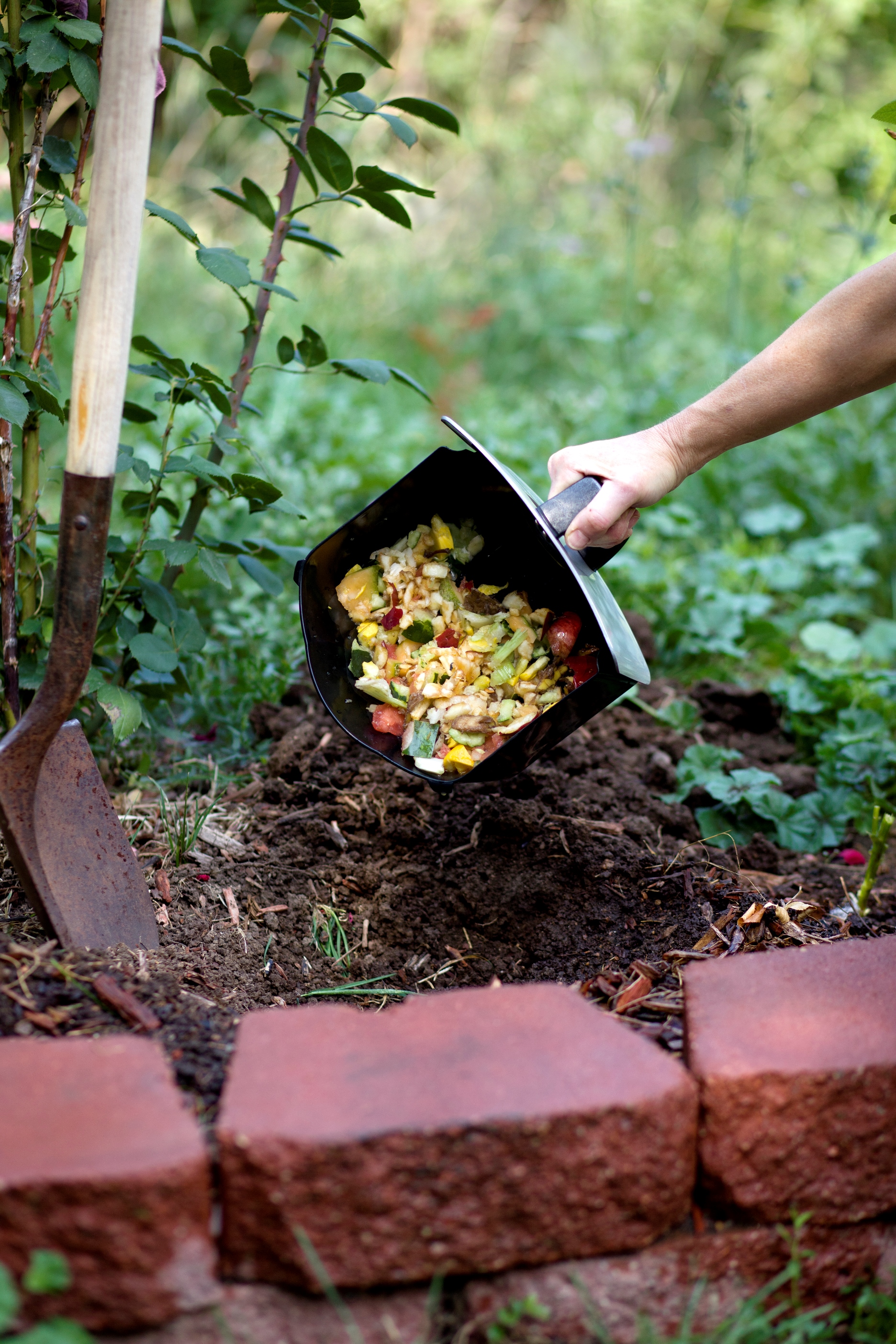 Worm Bombs thrive on shredded food scraps and yard trimmings and are an important partner in the composting or food-scrap recycling process.