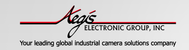 Aegis Electronic Group, Inc.