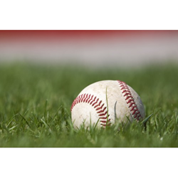 Image of a baseball in the grass